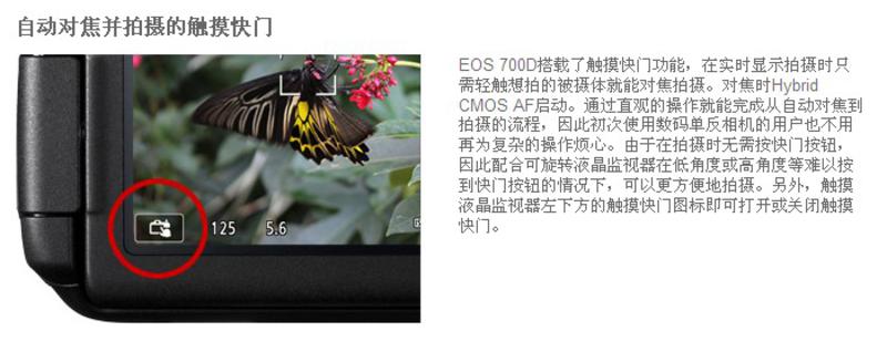 佳能（Canon）EOS 700D 单反套机（EF-S 18-55mm f/3.5-5.6 IS STM）