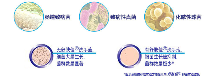 舒肤佳纯白清香型健康抑菌洗手液450ml