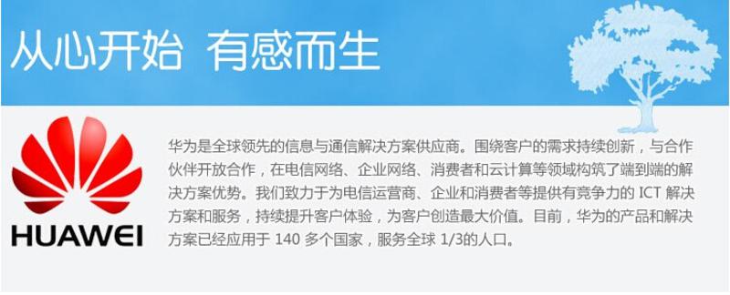 HUAWEI华为 荣耀 Che1-CL20 畅玩4X 双卡双待4G手机(白色）全网通版