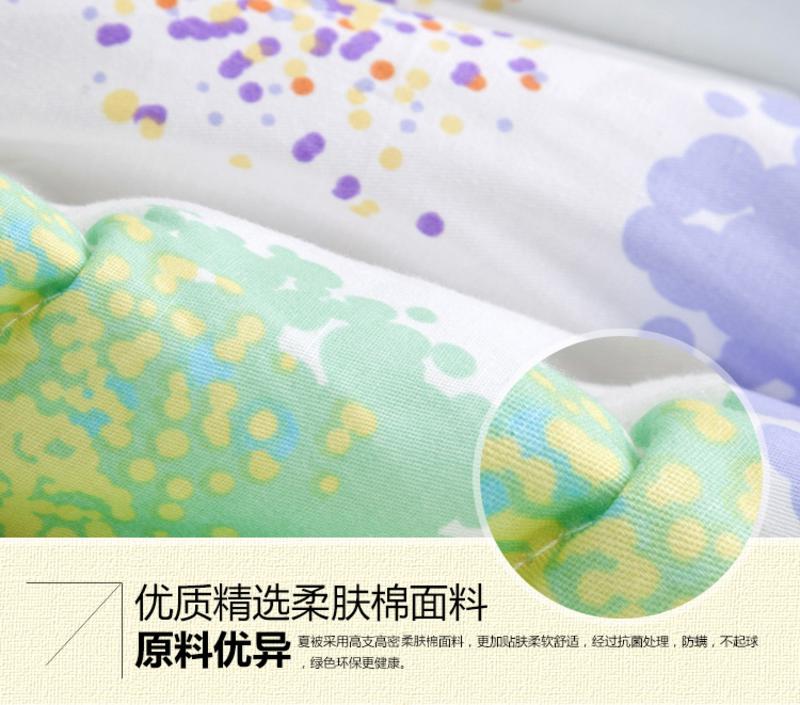 锦佩 床品家纺 韩式羽丝夏凉被 全棉斜纹印花双人空调被 1.5米床/1.8米床 六款花型