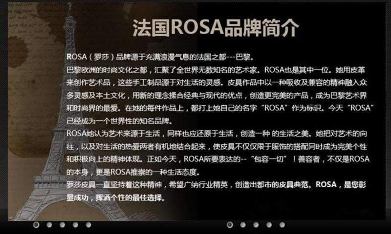 法国罗莎ROSA 女士手袋 手拎包  M11295（M229-M25-M38）