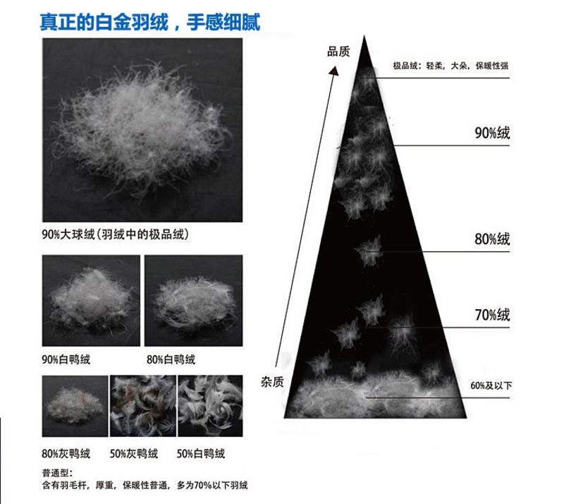 Lesmart莱斯玛特 男士短款轻薄羽绒服 便携可折叠男士立领休闲外套 MDME10234