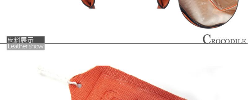 Crocodile/鳄鱼恤 新款OL时尚多隔层手提女包12213011橙色