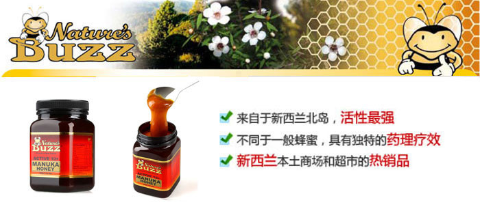 纽蜂宝 Natures Buzz Active 10+马奴卡蜂蜜 2瓶装(不含关税)