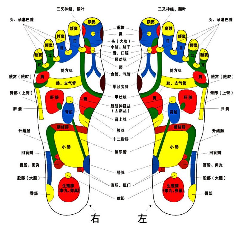 好福气 足浴盆 JM-806