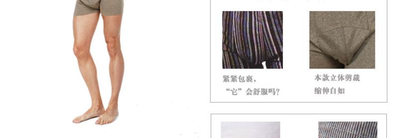 金丰田两条装eagic系列男士纯棉精疏罗纹平角内裤E1005
