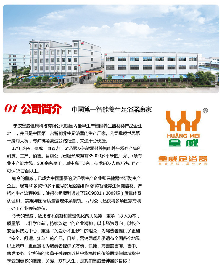 HUANGWEI皇威 揉捏按摩小靠垫 H-8712A