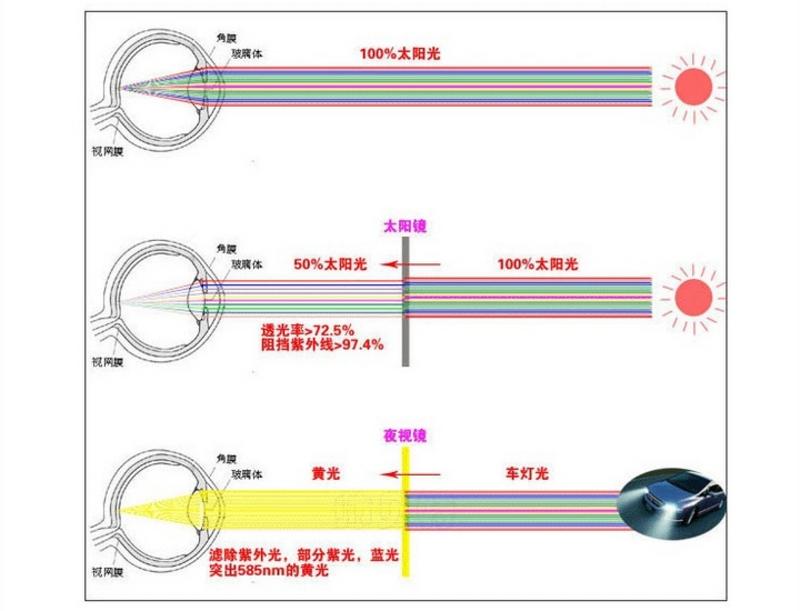 舜威 日夜两用镜 司机防眩镜 护目镜 遮阳镜 SD-2303