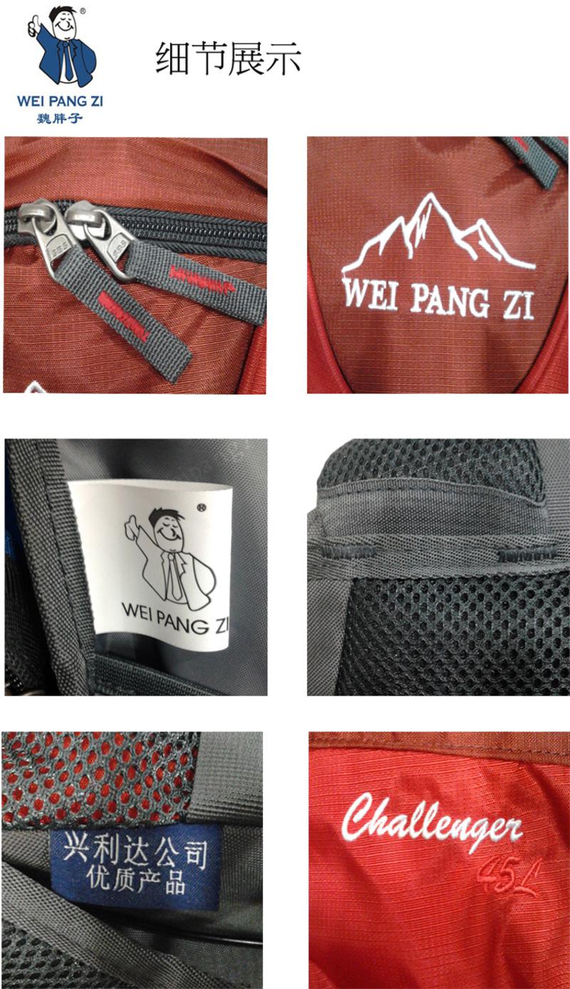魏胖子正品专柜 新款户外双肩背包旅行运动背包 带防雨罩 3755