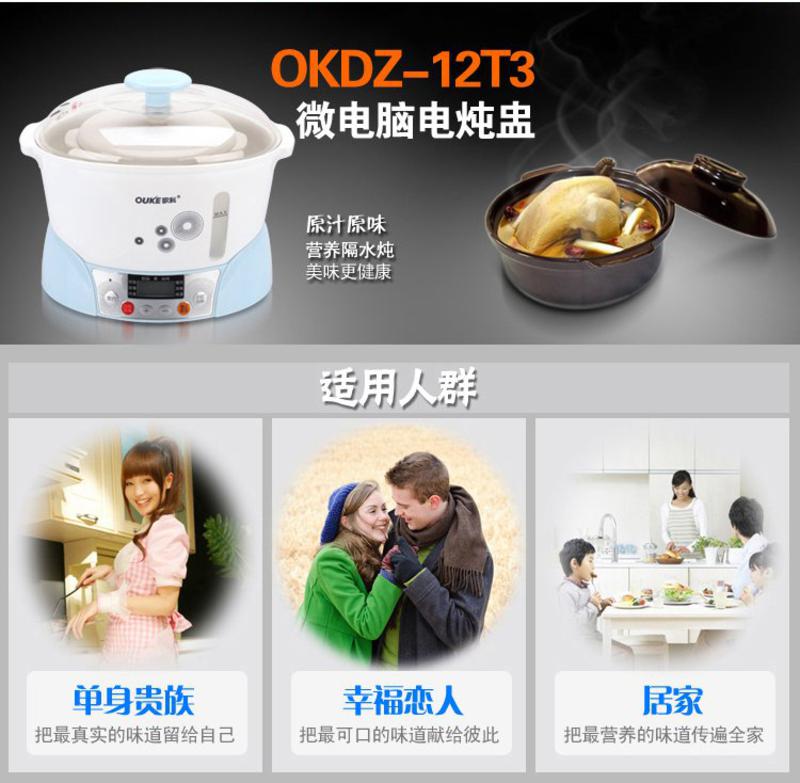 OUKE 欧科白瓷 电炖盅 三胆电炖锅 隔水 BB煲汤锅 慢炖 OKDZ-12T3