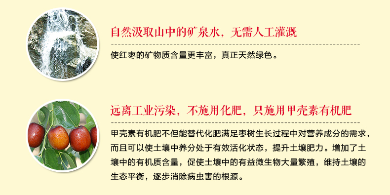 【石家庄电商】【河北特产】壳素红 烘烤空心枣 河北特产行唐甲壳素红枣泡水泡茶枣100g