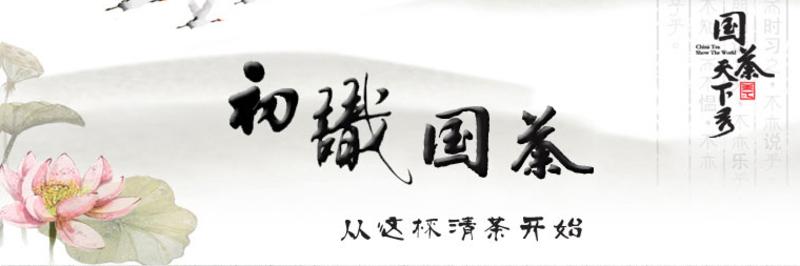 国茶天下秀 尔雅武夷红茶正山小种250g 茶叶高档礼盒包邮