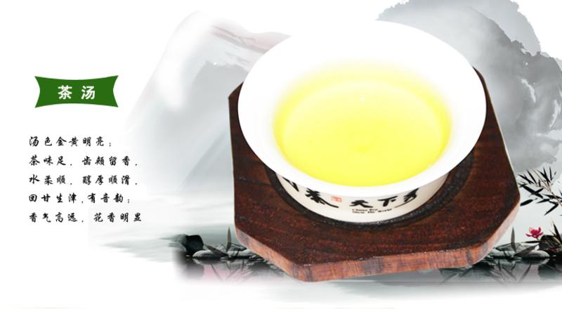 国茶天下秀 泽天下安溪铁观音清香型 绿色茶叶正品 礼盒装250g