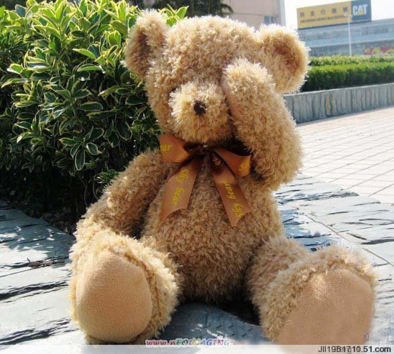 ILOOP 可爱害羞熊公仔 磁铁熊 毛绒玩具 生日礼物 浅棕害羞熊 害羞熊50厘米