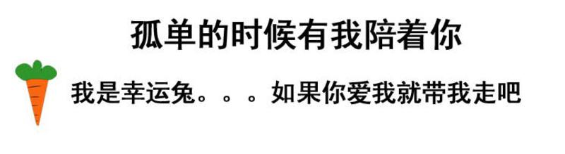 iloop变形金刚幸运兔公仔玩偶毛绒玩具娃娃 女生儿童生日新年礼物1米