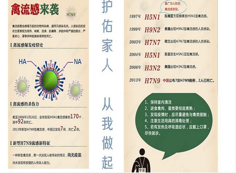 MASkin 8225标准型 头戴式折叠型防护口罩10只装(防抗PM2.5雾霾禽流感H7N9