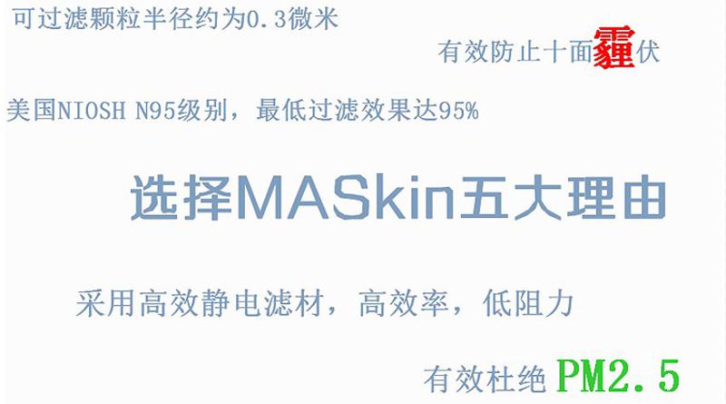 MASkin 8225标准型 头戴式折叠型防护口罩10只装(防抗PM2.5雾霾禽流感H7N9