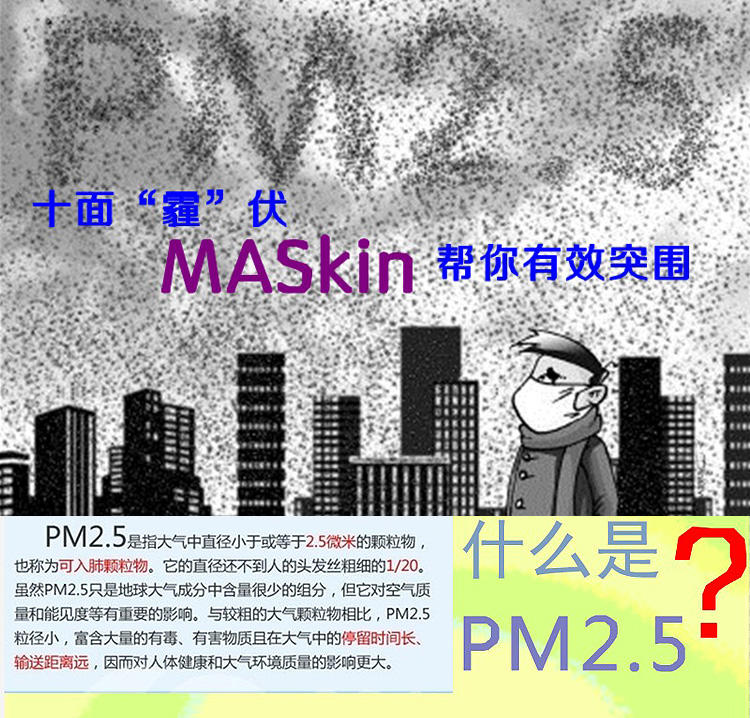 MASkin 8225标准型 头戴式折叠型防护口罩10只装(防抗PM2.5雾霾禽流感H7N9