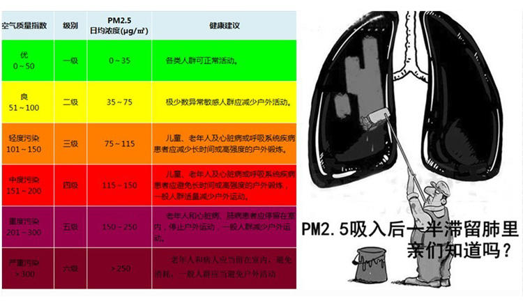 MASkin 8225标准型 头戴式折叠型防护口罩10只装(防抗PM2.5雾霾禽流感H7N9