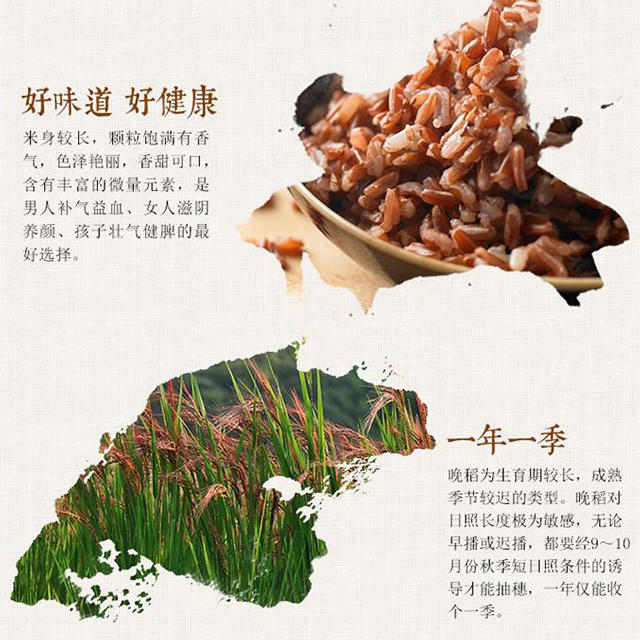 华农绿康五谷杂粮 红米饭 煲粥 煮饭均可 400G