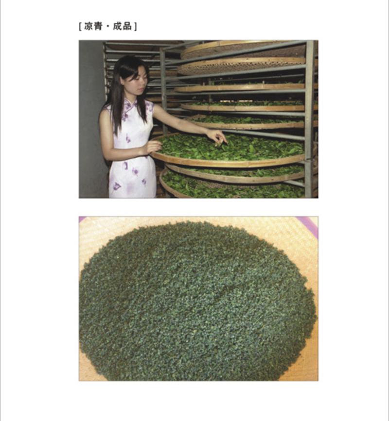 【广东特产】茗上茗有机乌龙茶叶500克礼盒装