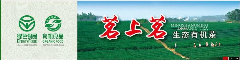 【广东特产】茗上茗有机绿茶叶100克/袋