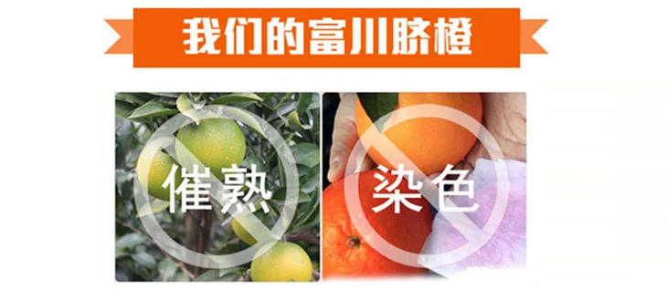 【广西特产】 富川脐橙A款5公斤装