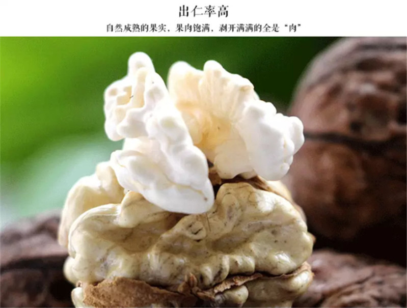 【云南特产】漾濞桥盛牌 核桃果 1000g 袋装