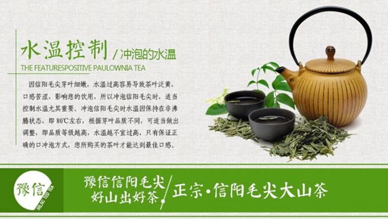 【河南特产】豫信茶叶舌尖信阳绿茶毛尖炒青茶叶 明前特级2015新茶春茶手工茶铁盒