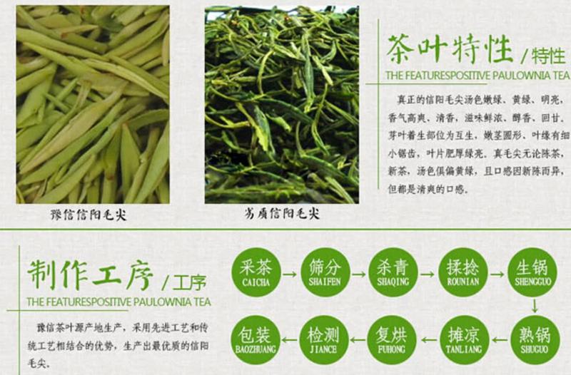 【河南特产】豫信茶叶舌尖信阳绿茶毛尖炒青茶叶 明前特级2015新茶春茶手工茶铁盒