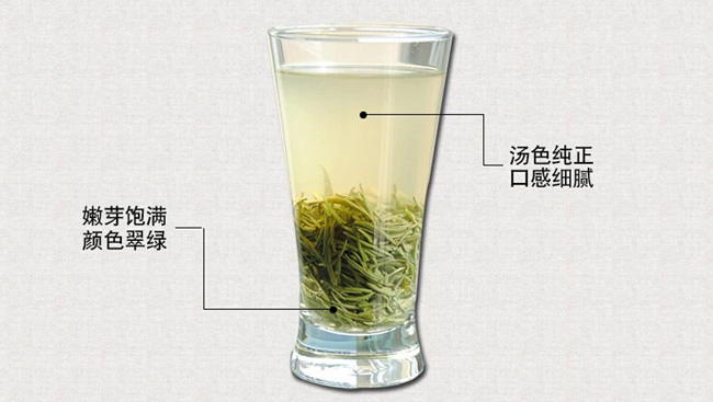 【河南特产】豫信茶叶舌尖信阳绿茶毛尖炒青茶叶 明前特级2015新茶春茶手工茶铁盒