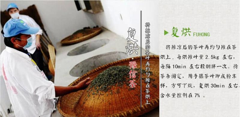 【河南特产】豫信茶叶舌尖信阳绿茶毛尖炒青茶叶 明前特级2015新茶春茶手工茶铁盒