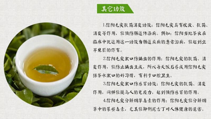 【河南特产】豫信茶叶舌尖信阳绿茶毛尖炒青茶叶 明前特级2015新茶春茶手工茶铁盒