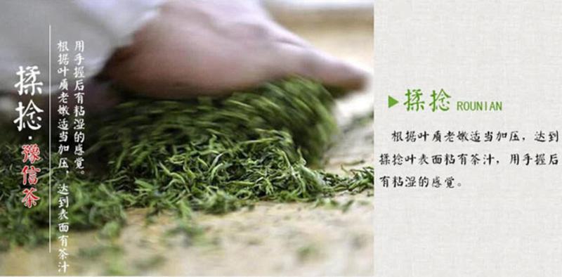 【河南特产】豫信茶叶舌尖信阳绿茶毛尖炒青茶叶 明前特级2015新茶春茶手工茶铁盒