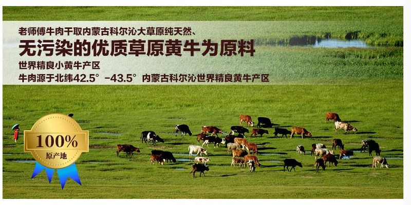 【河南特产】老师傅内蒙古风干牛肉干手撕牛肉粒300g香辣零食独立包装