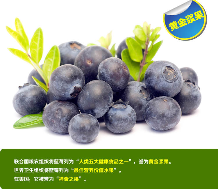 【江西特产思科蓝莓】蒂蓝高浓度蓝莓果汁 248ml一瓶