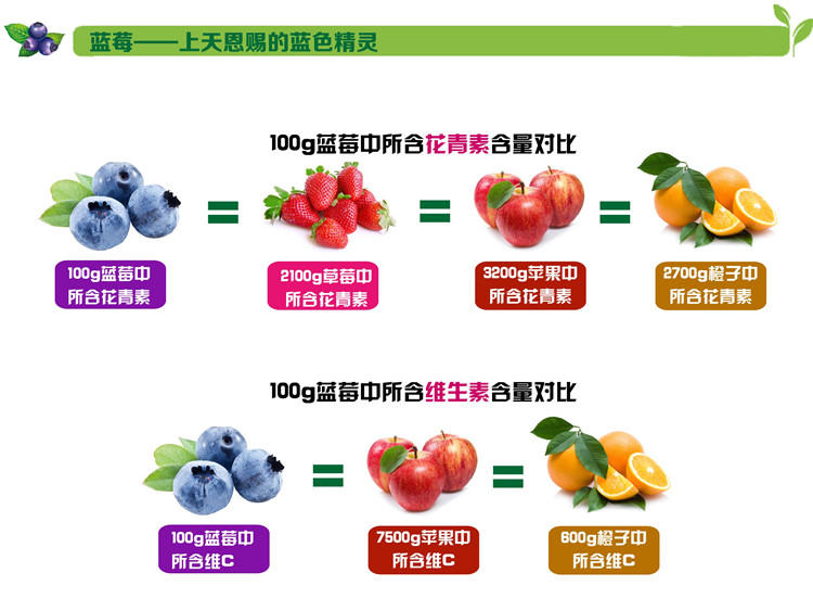 【江西特产思科蓝莓】蒂蓝高浓度蓝莓果汁 248ml一瓶