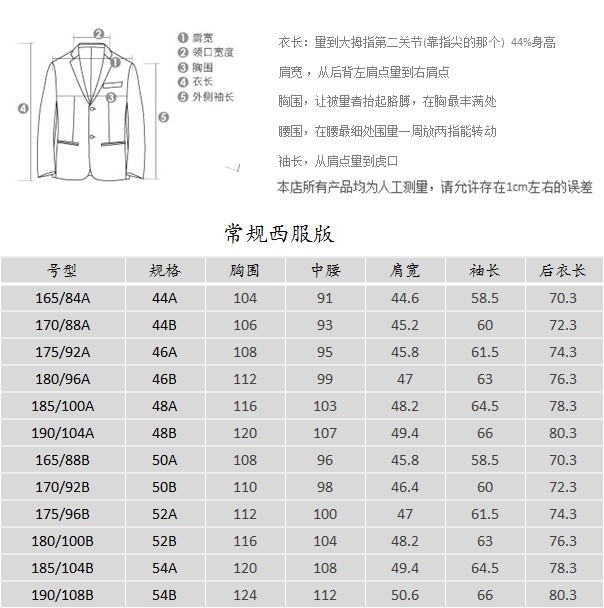 SARTORE（萨托尼) 专柜正品男装 西服 商务正装 灰色 03058030