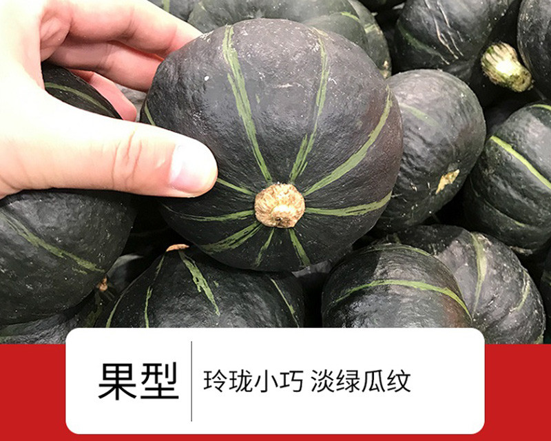 【48小时急速发货】云南贝贝南瓜  进口种源真贝贝 新鲜果蔬  香甜软糯  辅食必备  健康良品