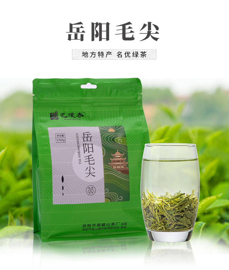 【岳阳馆】巴陵春 岳阳毛尖 半斤实惠袋装绿茶 办公茶家用茶口粮茶