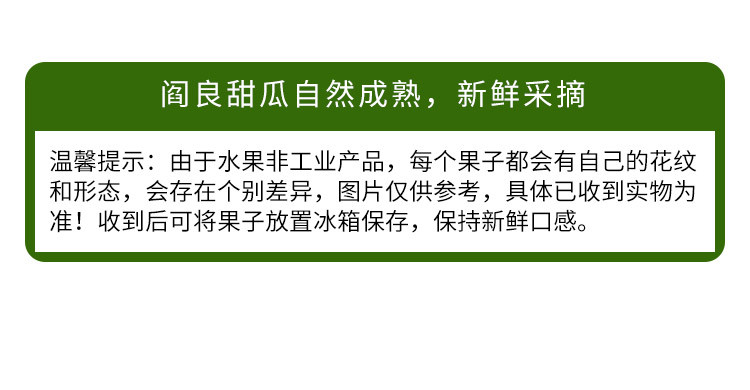 【陕西特产】产地陕西 阎良甜瓜 香甜蜜瓜