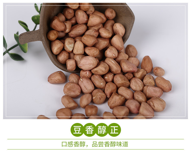 【杂豆】 通榆县满榆东北花生米350g 东北杂粮 非转基因花生米