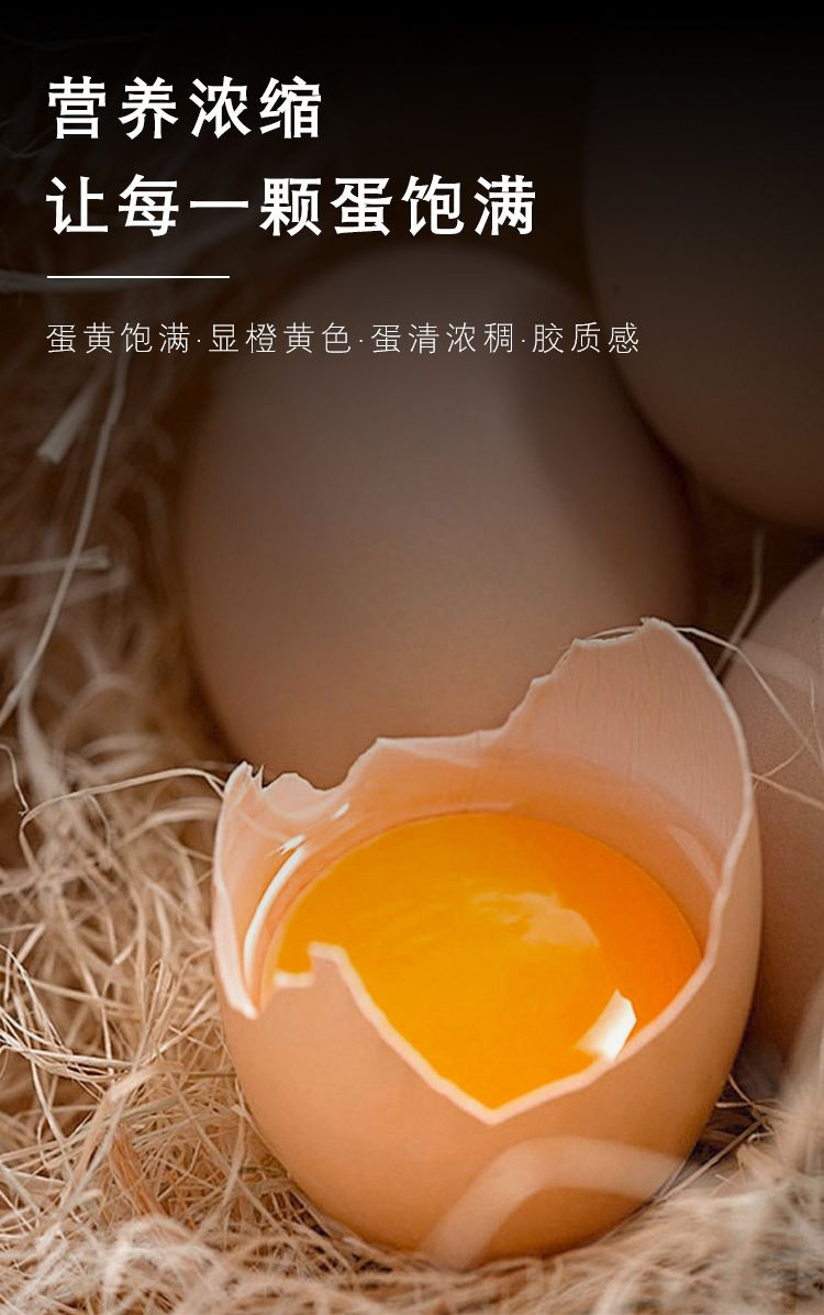  农家自产 【阳江馆】新鲜土鸡蛋20枚 正宗农家散养早餐蛋