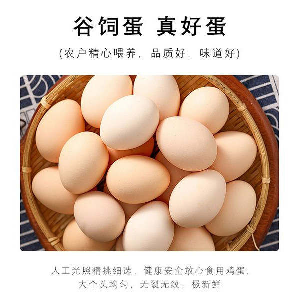  农家自产 【阳江馆】新鲜土鸡蛋20枚 正宗农家散养早餐蛋