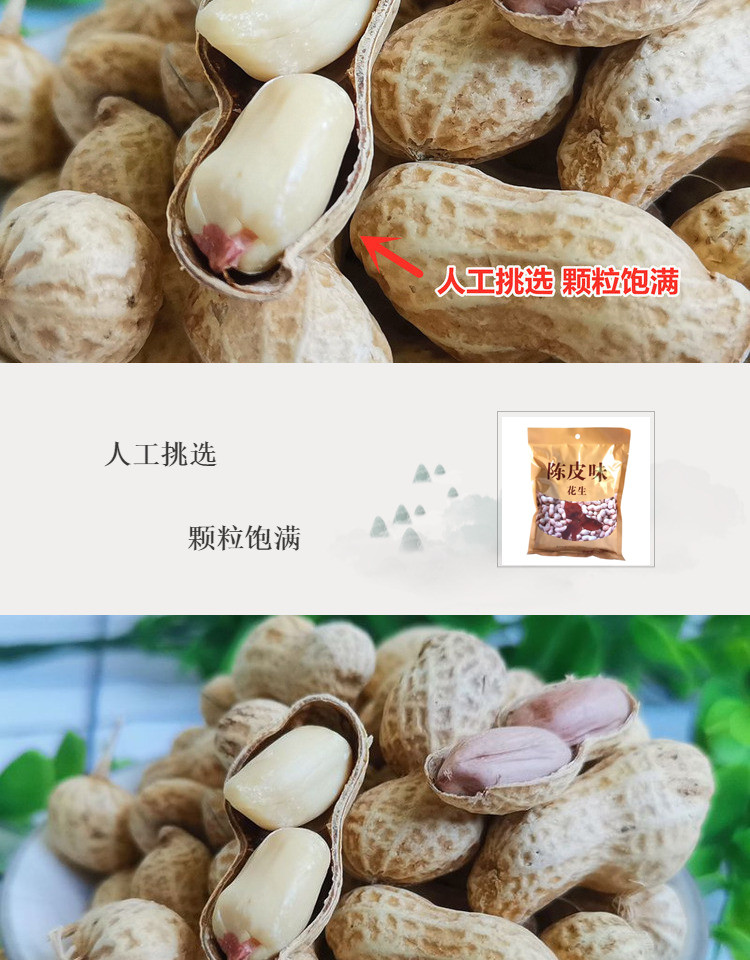  广东江门特产休闲坚果食品陈皮花生 带壳花生零食 精选花生 汉华唐