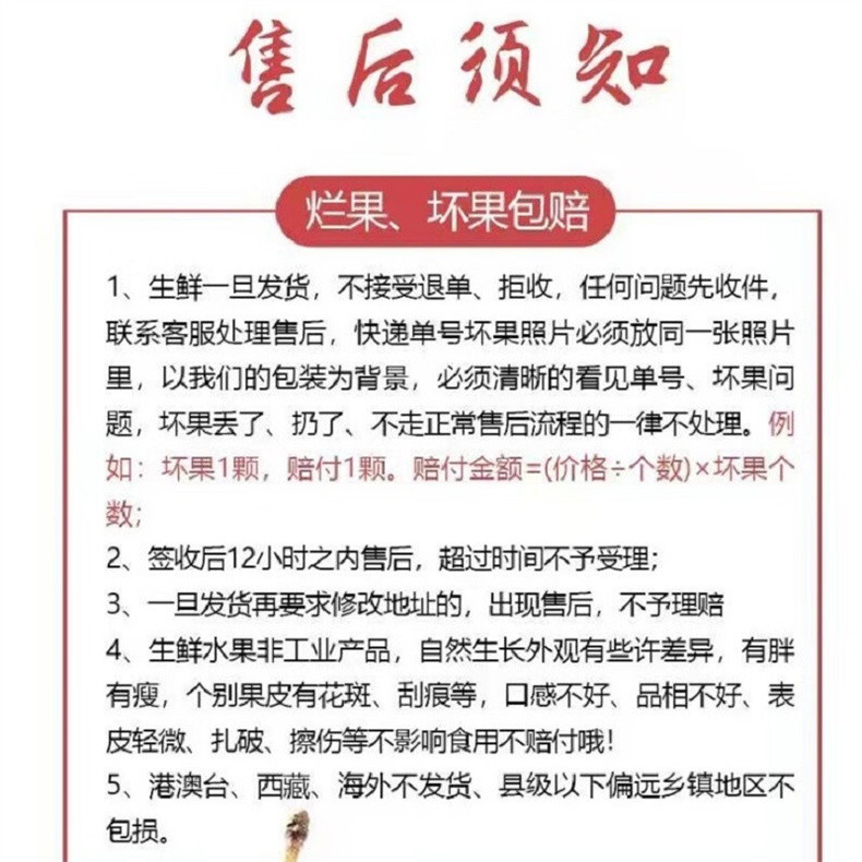 亿荟源 顺丰包邮新疆恐龙蛋李子