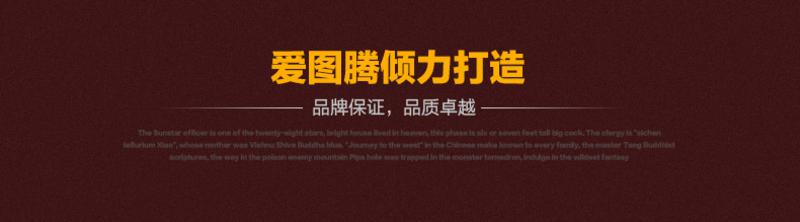 爱图腾 汽车加热坐垫 汽车坐垫冬季新款 座椅加热 免绑汽车加热垫 单片装