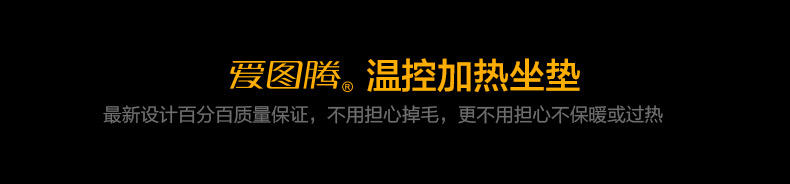 爱图腾 汽车加热坐垫 汽车坐垫冬季新款 座椅加热 免绑汽车加热垫 单片装