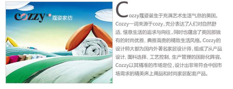 cozzy蔻姿家纺全棉加厚磨毛床上用品四件套 波西米亚