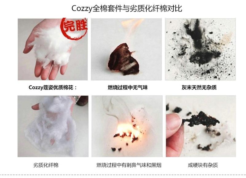 Cozzy蔻姿家纺 全棉斜纹印花四件套纯棉床上用品套件 花倾颜 1.8米